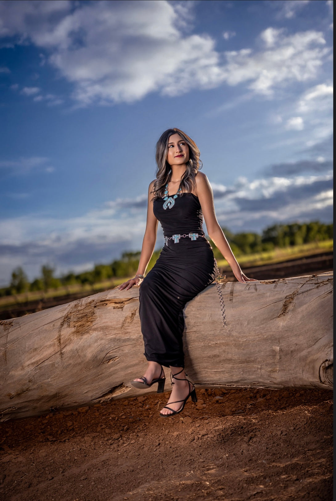 Sadie Strapless Dress