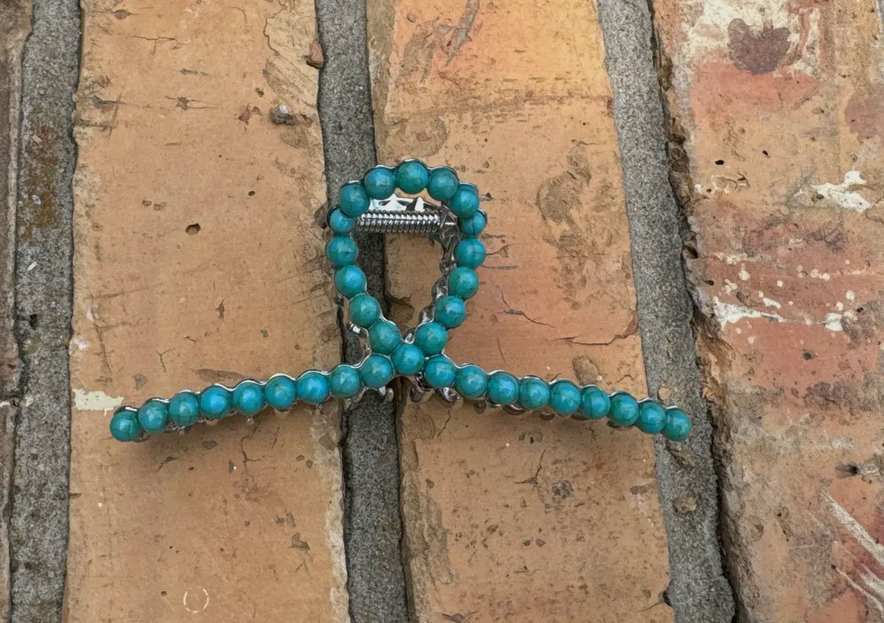 Claw Clip