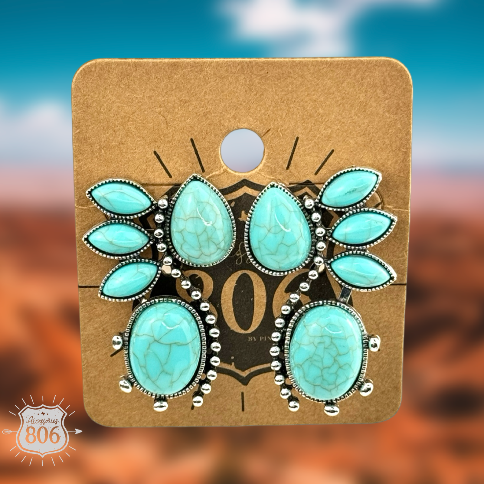 Western Flair Earrings