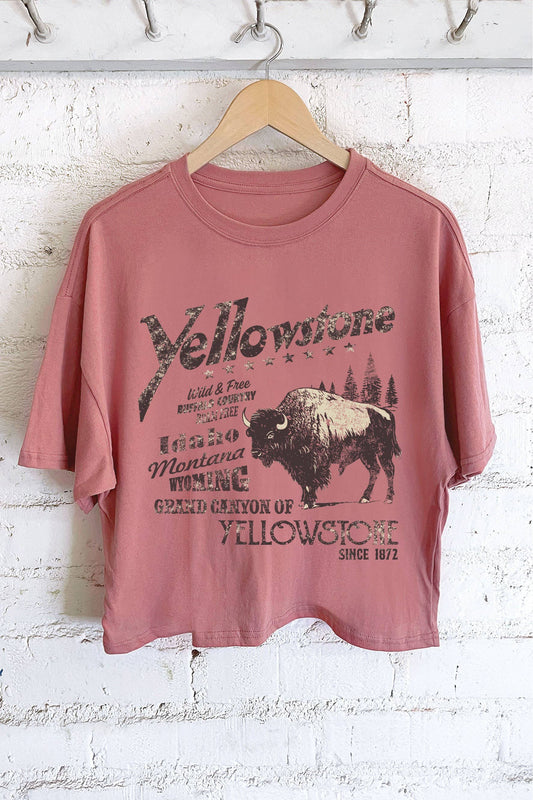 YELLOWSTONE BUFFALO GRAPHIC