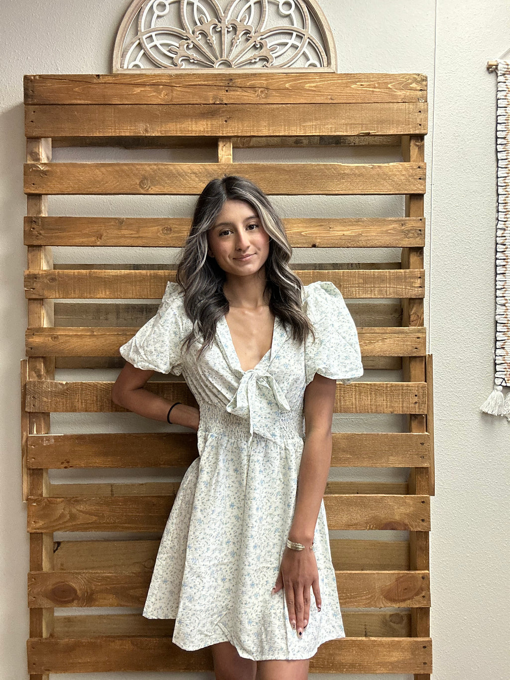 Floral V Neck Tie Puff Sleeve Smock Mini Dress