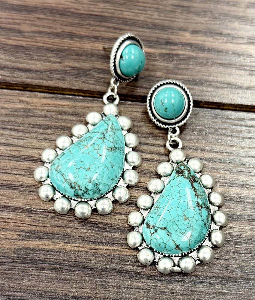 Western Post Earrings