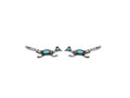 Road Runner Earrings