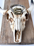 BELT BUCKLE STRETCH BRACELET
