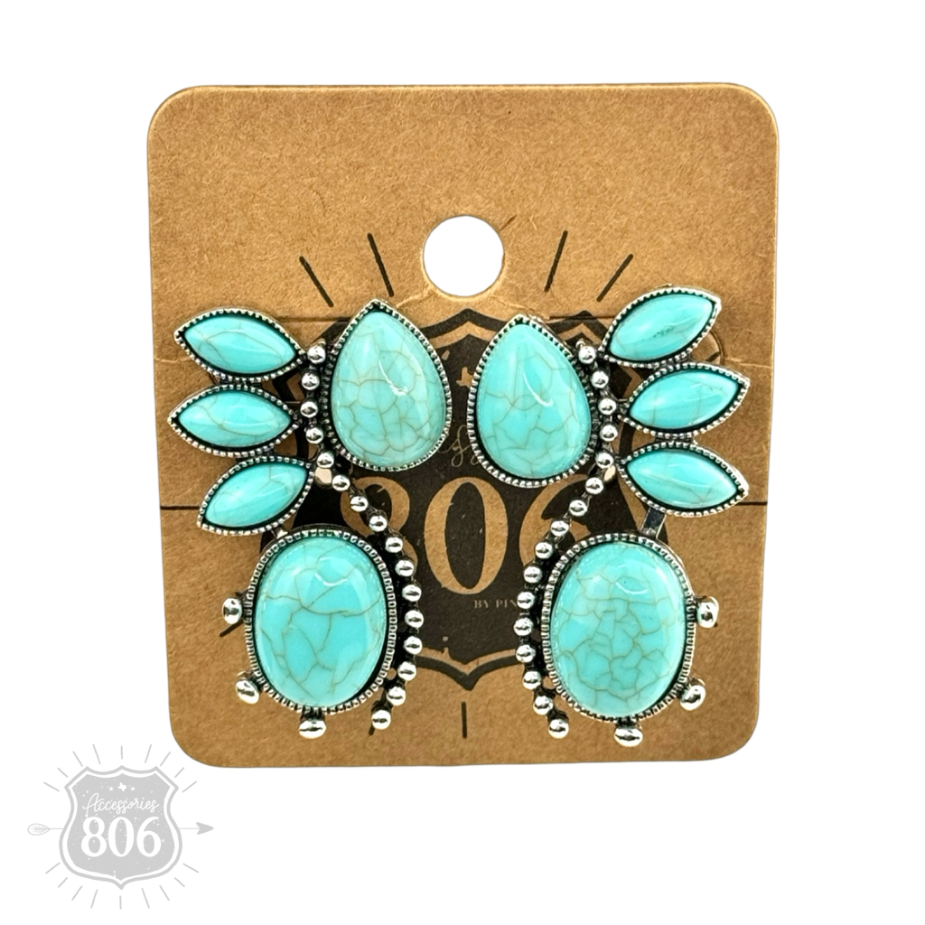 Western Flair Earrings