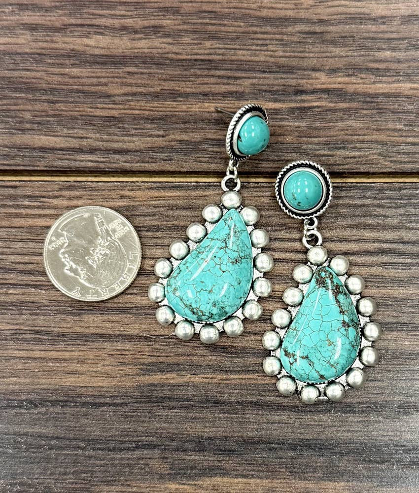Western Post Earrings